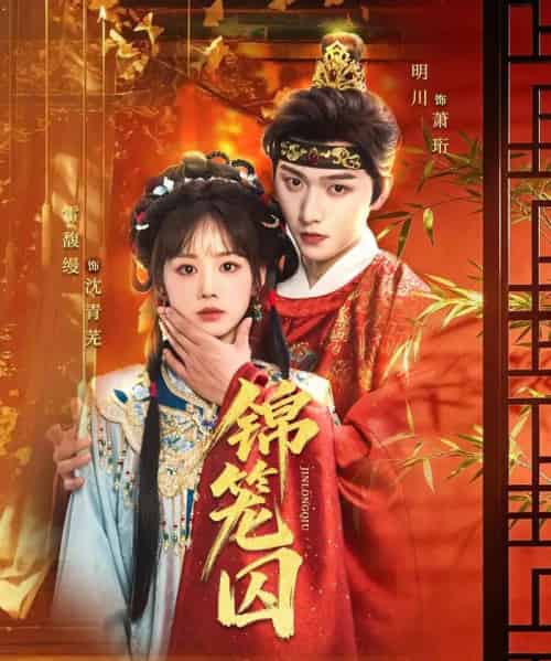 锦笼囚（60集全）明川＆雷馥缦-紫橙资源网