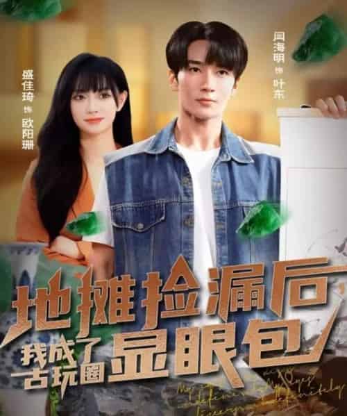 地摊捡漏后，我成了古玩圈显眼包（86集全）闫海明＆盛佳琦-紫橙资源网