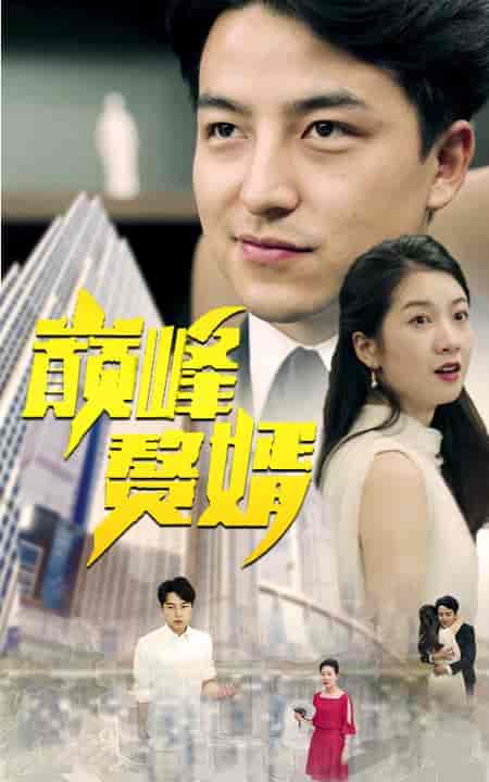 巅峰赘婿（100集）-紫橙资源网