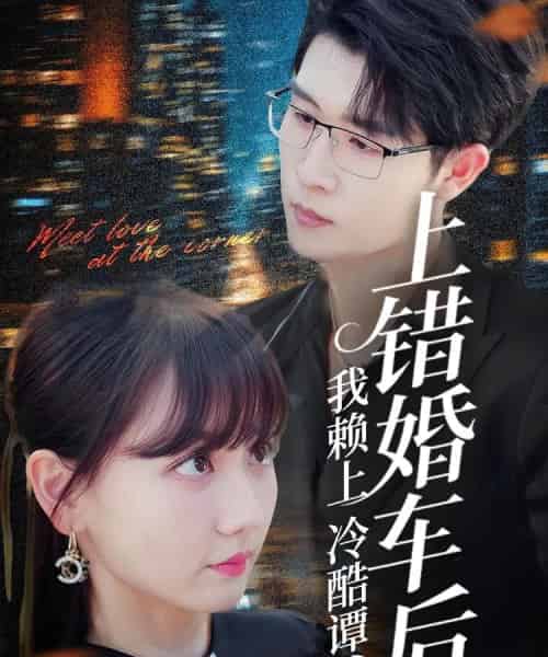 上错婚车后我赖上冷酷谭爷（59集）王裕博＆韩忠羽-紫橙资源网