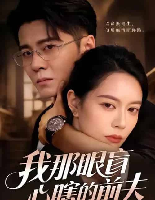 我那眼盲心瞎的前夫（61集全）刘君尧＆李曼-紫橙资源网