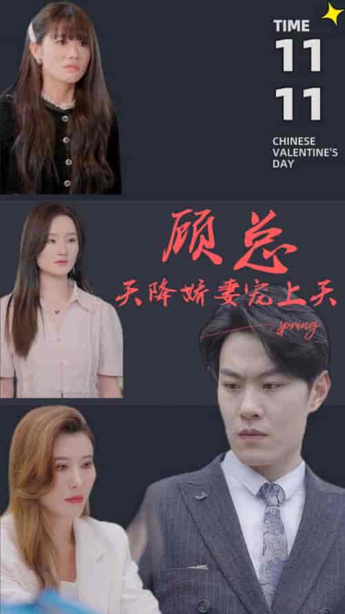 顾总天降娇妻宠上天（90集）首发-紫橙资源网