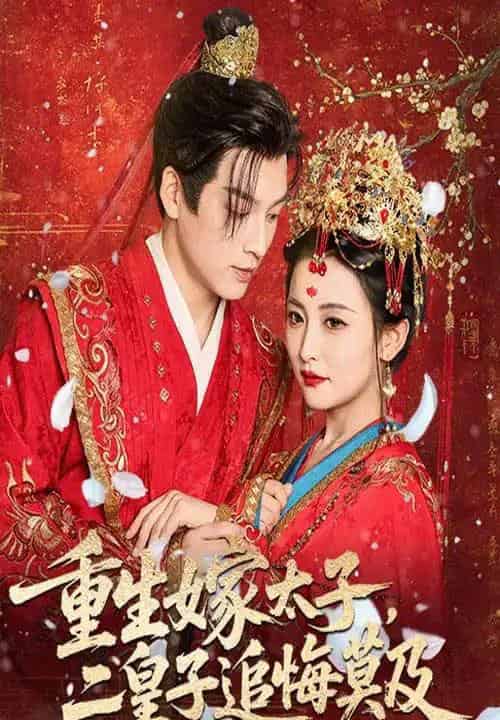 重生嫁太子二皇子追悔莫及（54集）雷笑语＆黄帅帅-紫橙资源网