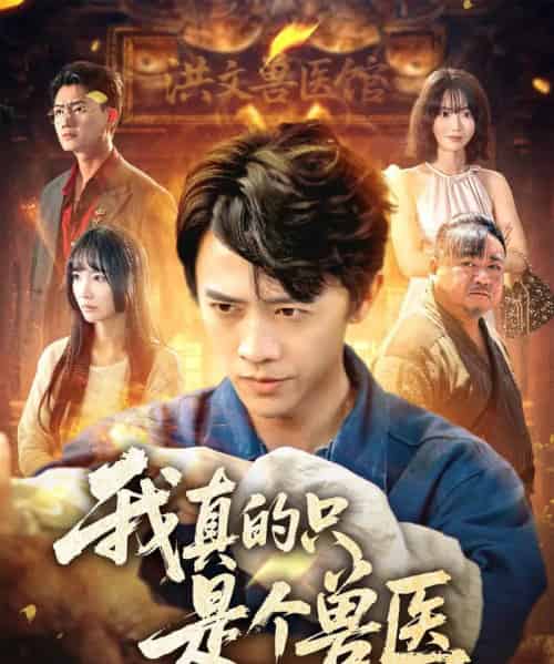 我真的只是个兽医（64集）赵菲＆陈外-紫橙资源网