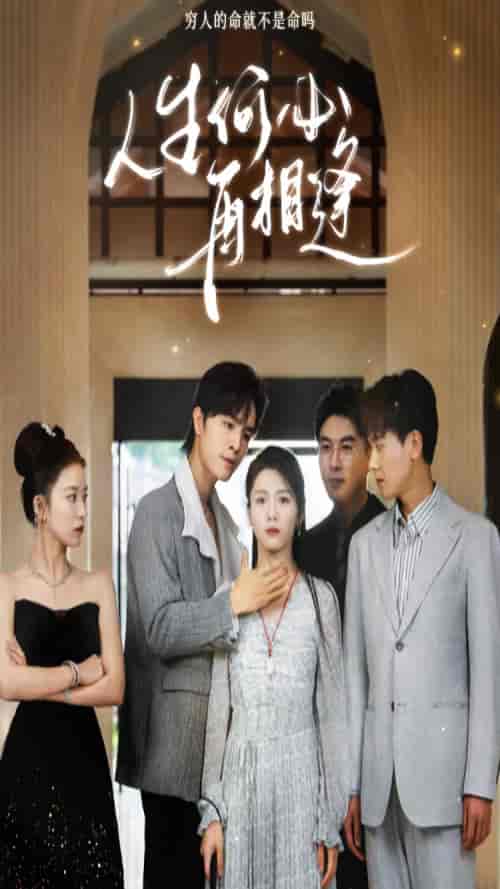 人生何必再相逢(80集)-紫橙资源网