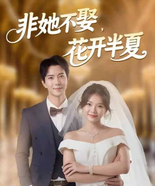 非她不娶，花开半夏（63集全）傅汉源＆林籽蓉-紫橙资源网