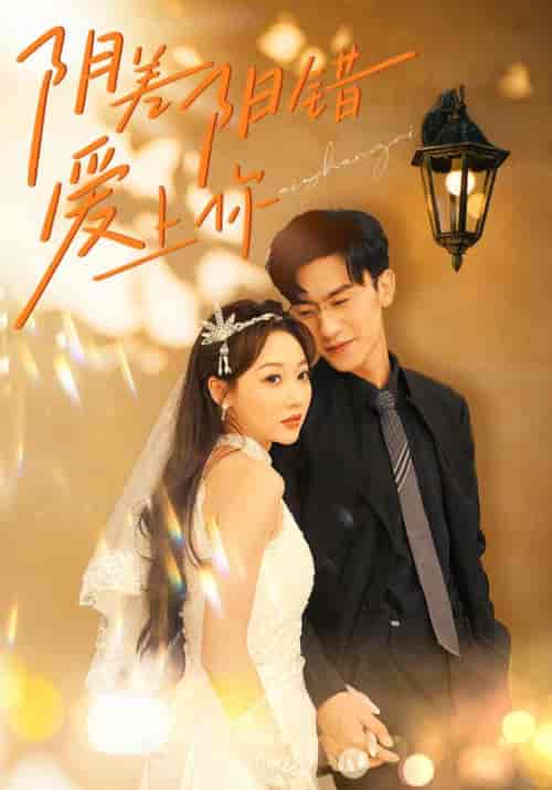 阴差阳错爱上你（62集）-紫橙资源网