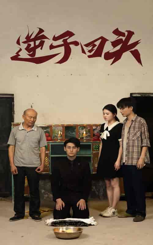 逆子回头（33集）-紫橙资源网