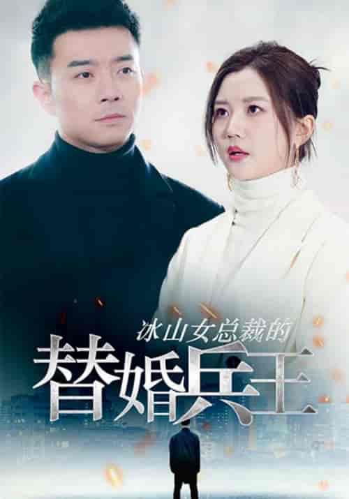 冰山女总裁的替婚兵王（92集全）冷舟＆洛夕瑶-紫橙资源网