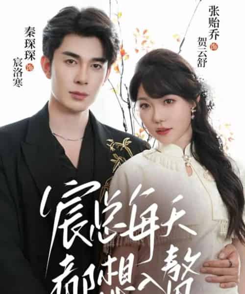 宸总每天都想入赘（65集全）秦琛琛＆张贻乔-紫橙资源网