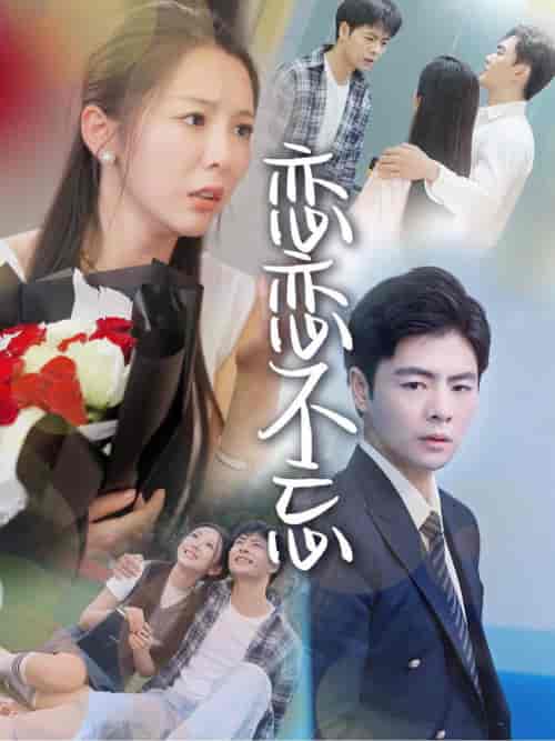 恋恋不忘（36集全）-紫橙资源网