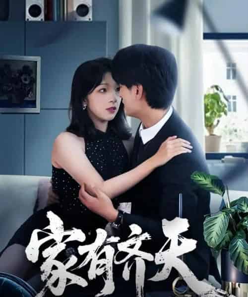 家有齐天（60集全）王国豪杰＆孙梦蝶＆曲美霖-紫橙资源网