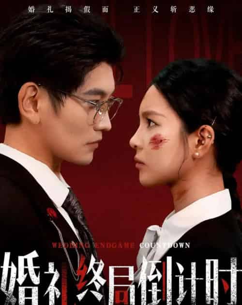 婚礼终局倒计时（60集全）宸天＆余卓阳-紫橙资源网