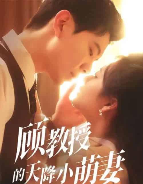 顾教授的天降小萌妻（70集）黄浩雯＆刘美娜-紫橙资源网