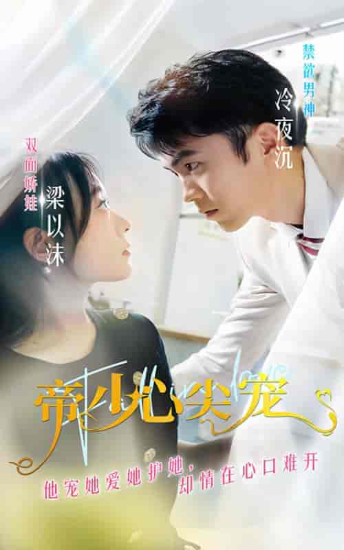 帝少心尖宠（90集）-紫橙资源网