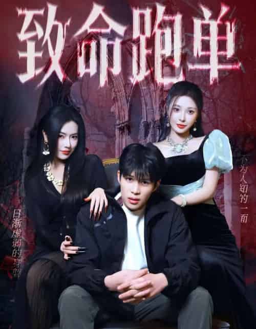 致命跑单(62集全)李瞳潼&辛润茜-紫橙资源网