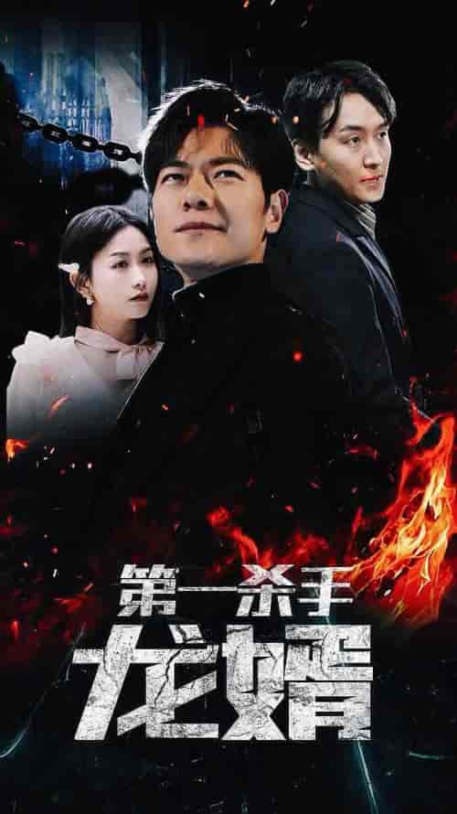 第一杀手龙婿（100集）-紫橙资源网