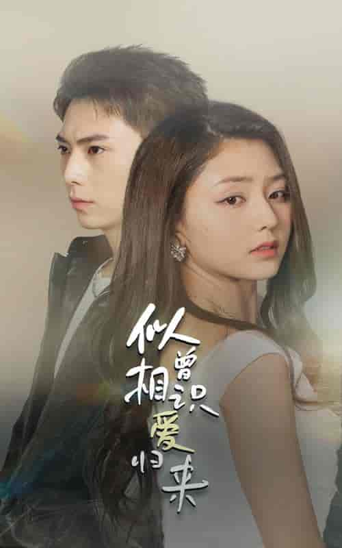 似曾相识爱归来(77集)-紫橙资源网