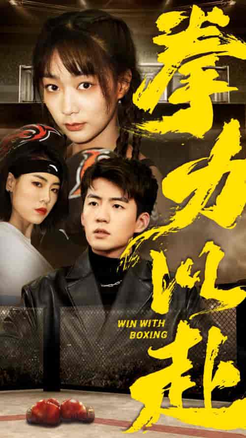 拳力以赴（80集）-紫橙资源网