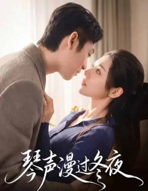 琴声漫过冬夜（61集全）汐炎＆蔡明哲-紫橙资源网