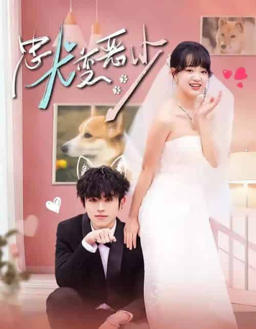 惊！我家来福变恶少了＆忠犬变恶少（80集全）曹竣柯＆赵影-紫橙资源网