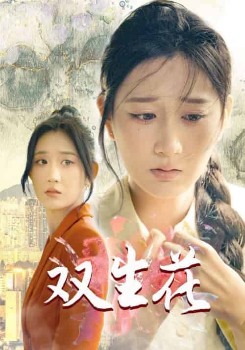 双生花（60集全）吴仁义＆江荷-紫橙资源网