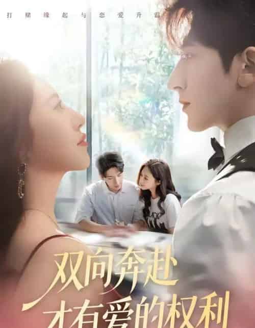 双向奔赴才有爱的权利（80集全）六一＆斯坎-紫橙资源网