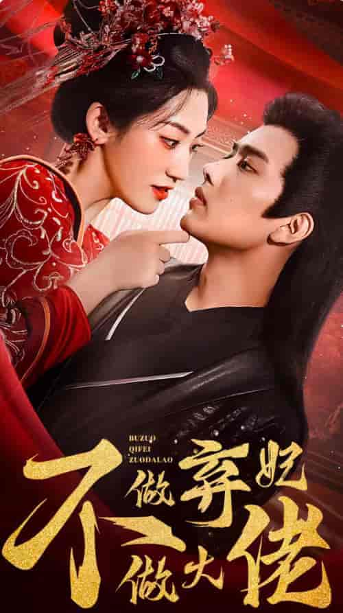 不做弃妃做大佬（88集）-紫橙资源网