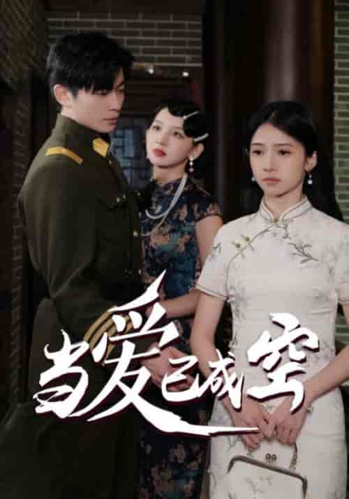 当爱已成空（58集全）-紫橙资源网