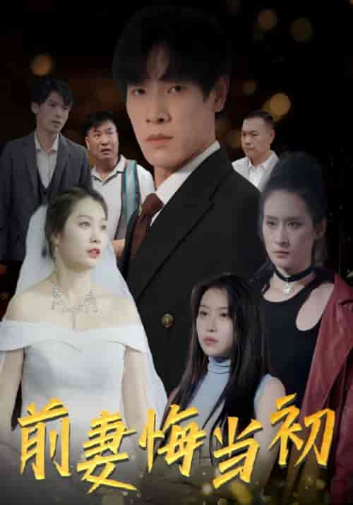前妻悔当初（78集全）萧铭＆＆贺芷-紫橙资源网