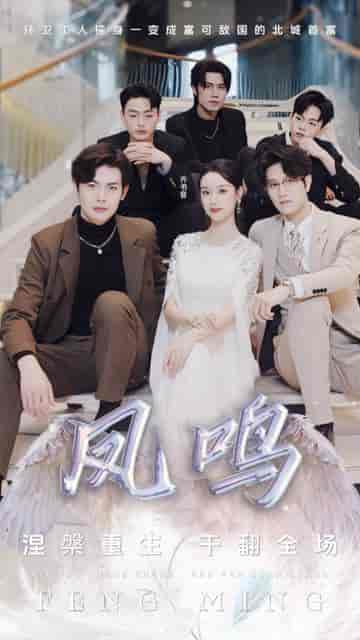 凤鸣（48集）-紫橙资源网