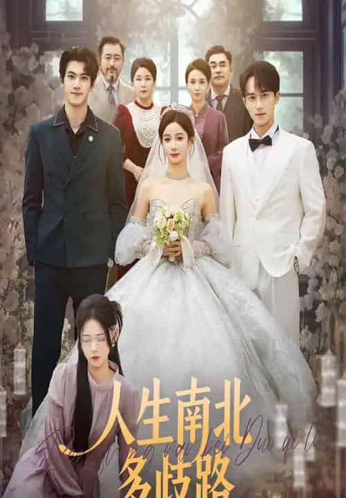 人生南北多歧路（45集全）谭心＆辛灏云-紫橙资源网