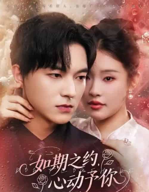 如期之约心动予你（82集全）权睿＆魏天浩-紫橙资源网