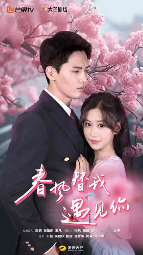 春风替我遇见你(100集)-紫橙资源网