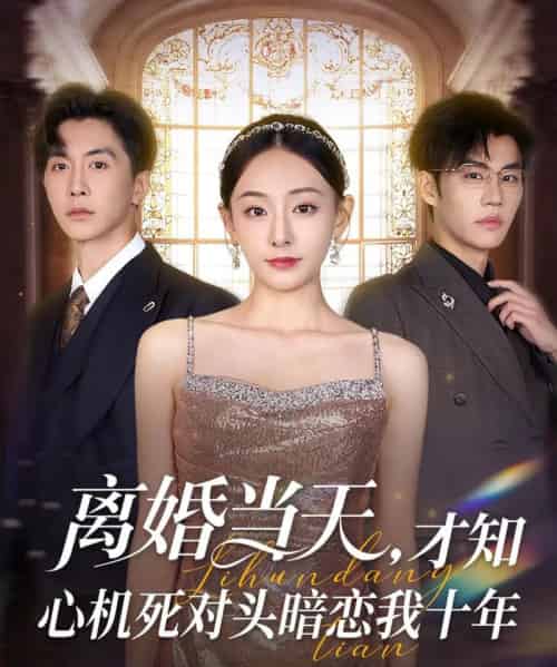 离婚当天才知心机死对头暗恋我十年（90集）鞠可儿＆刘承林-紫橙资源网