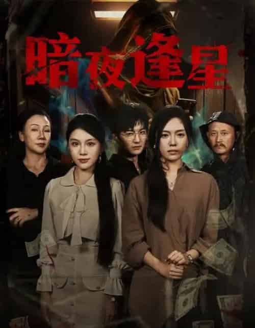 暗夜逢星（67集全）王泽轩＆陈墁柯-紫橙资源网