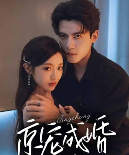 京宠成婚（79集）陈刚＆陈辞-紫橙资源网