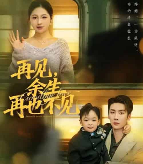 再见,余生再也不见&再见余生再也不见(89集全)刘博洋&崔秀子-紫橙资源网