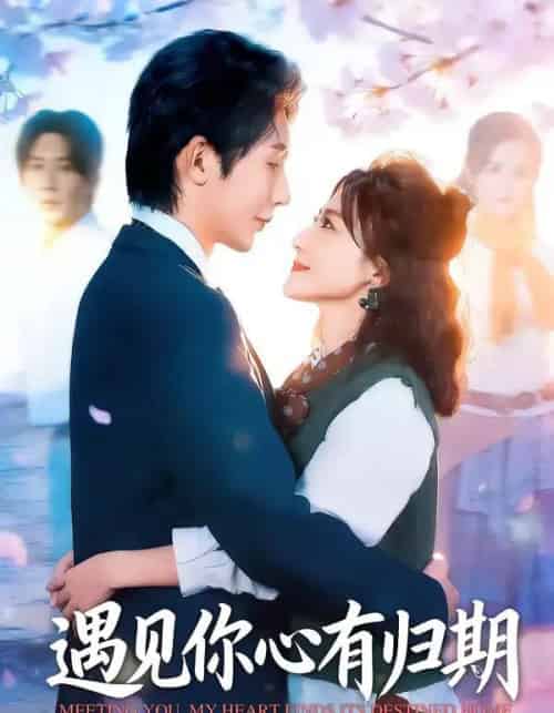 遇见你心有归期（81集全）桑岂＆闫聪-紫橙资源网