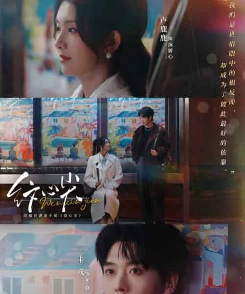 纹心尖（65集全）卡戎＆卢鹿鹿-紫橙资源网