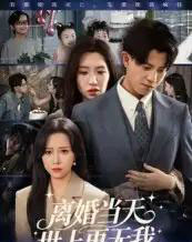 离婚当天世上再无我（60集全）董劭辉-紫橙资源网