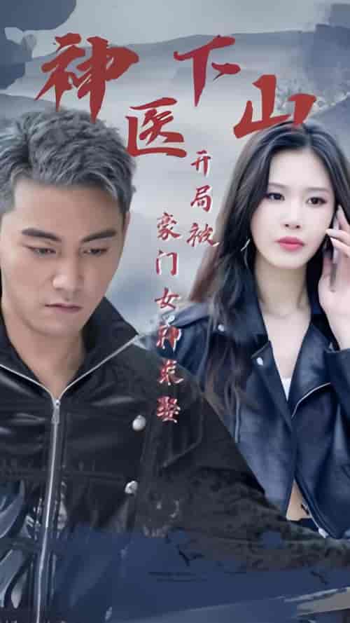 神医下山开局被豪门女神求娶（88集）-紫橙资源网