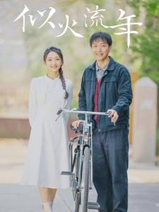 似火流年（100集）-紫橙资源网