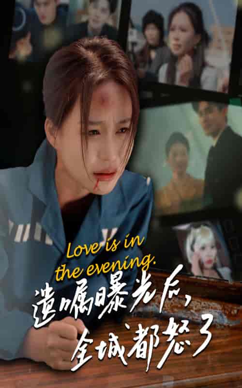 遗嘱曝光后，全城都怒了（36集全）-紫橙资源网