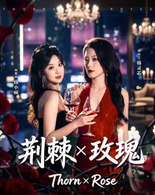 荆棘X玫瑰（59集全）韩佳芯＆韩露瑜-紫橙资源网