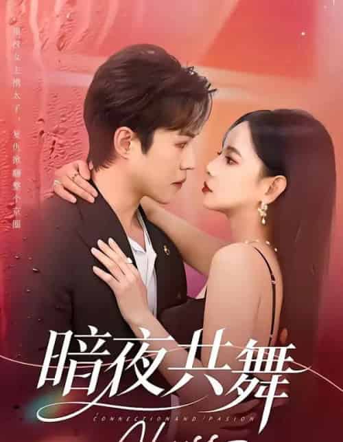 暗夜共舞（80集全）潘思雅＆潇然-紫橙资源网