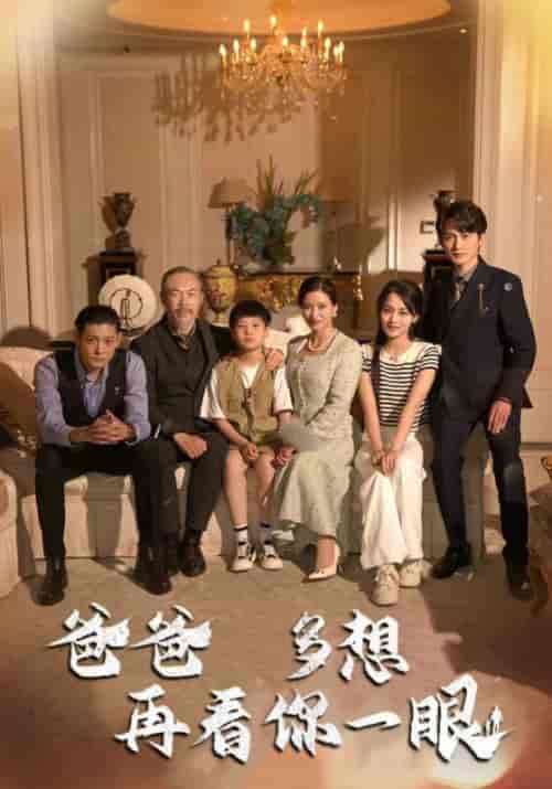 爸爸多想再看你一眼（73集全）林元纬＆魏莱-紫橙资源网