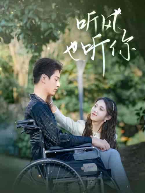 听风也听你（99集）-紫橙资源网