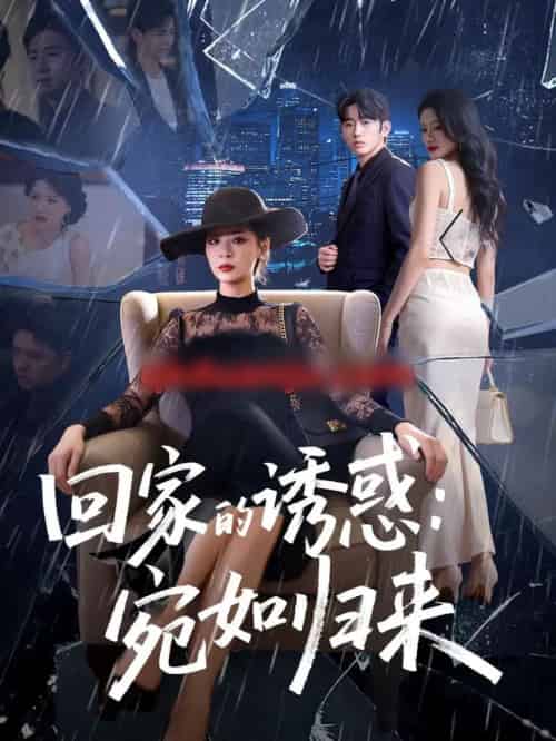 回家的诱惑:宛如归来(63集全)李晓通&王安烁-紫橙资源网