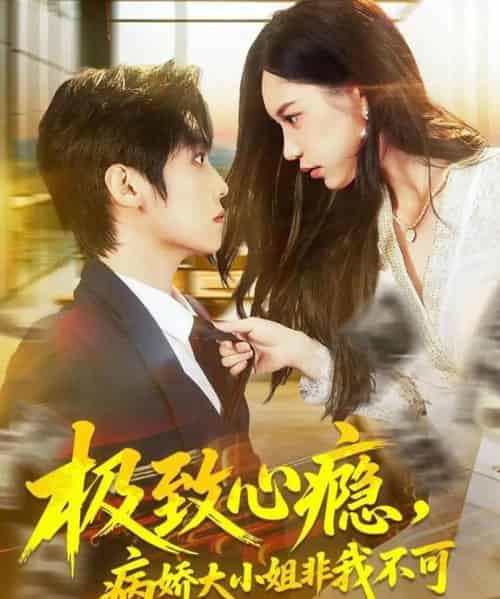 极致心瘾，病娇大小姐非我不可（80集全）傅宇航＆姜一朵-紫橙资源网